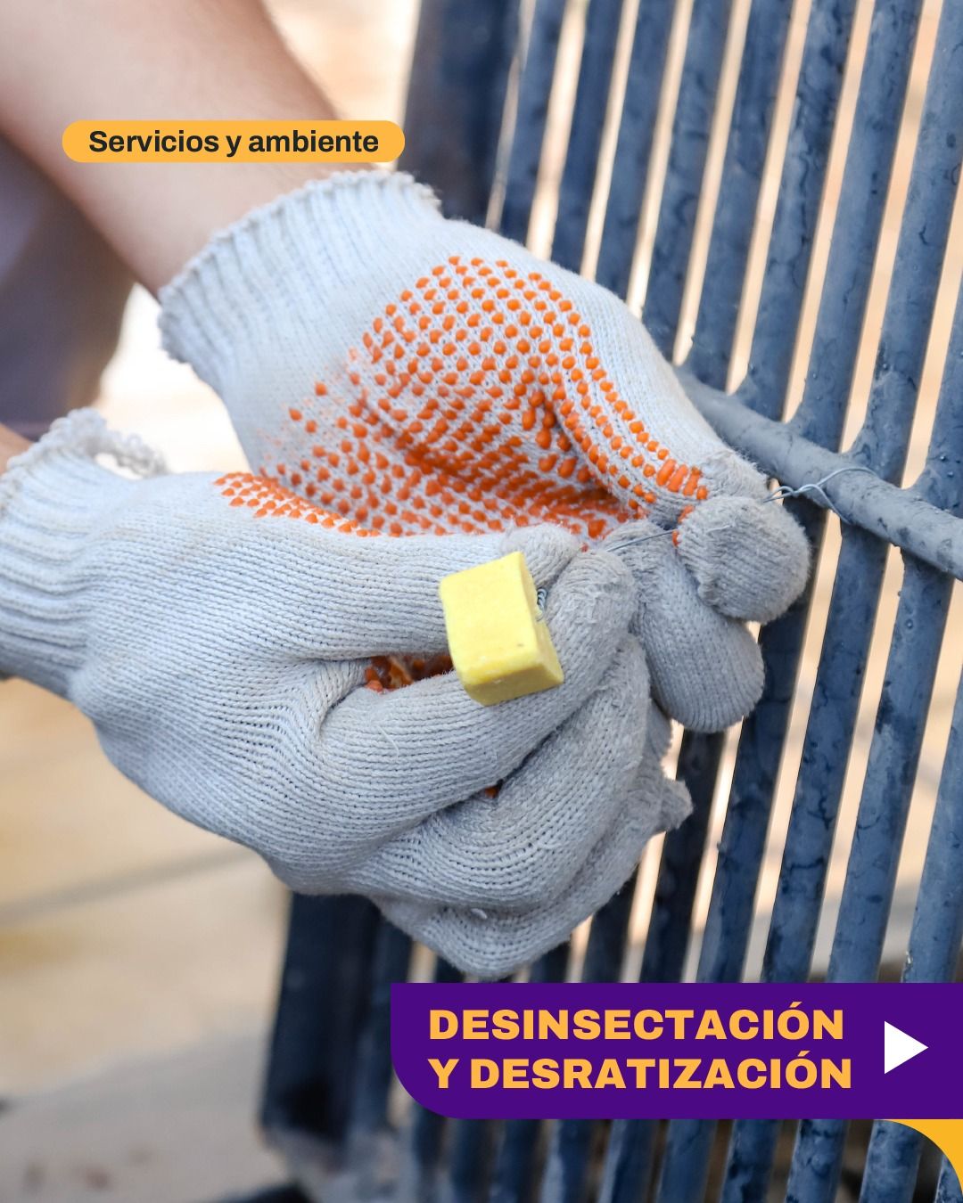 Los Operativos de desinsectación y desratización continúan esta semana en distintos barrios de la Ciudad de San Juan.