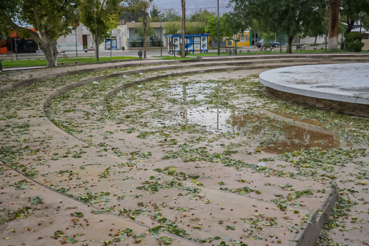 Tras las intensas lluvias y la caída de granizo registradas en la noche del viernes, el Municipio de Pocito se encuentra llevando adelante relevamientos en distintos puntos del departamento con el objetivo de asistir a los vecinos afectados.