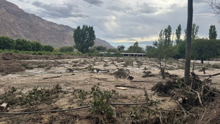 El Gobierno mejora las condiciones de las líneas de ayuda por la Contingencia Climática