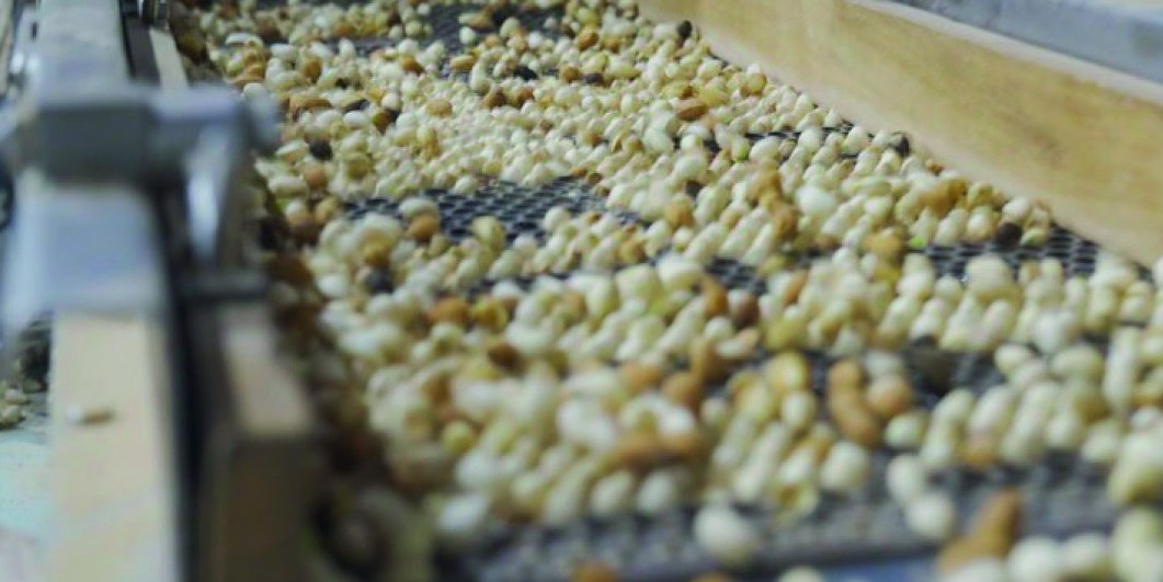 San Juan es líder en producción de pistacho en la Argentina concentrando mas del 60% del total nacional.