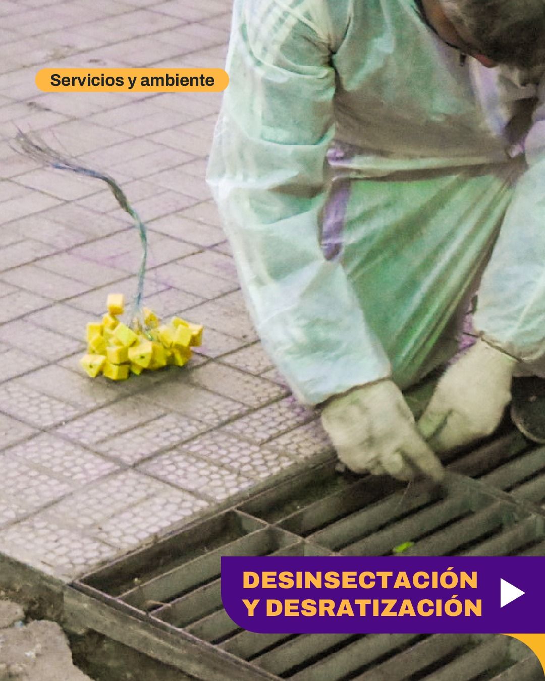 La Ciudad de San Juan continua con el operativo integral de desinsectación y desratización en distintos sectores de la Ciudad