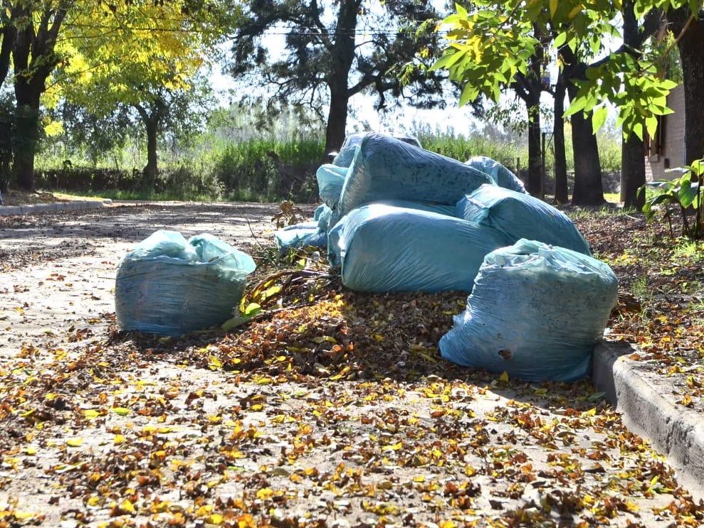 El municipio de San Martin continua esta semana  con el operativo de limpieza barrial en Zona Centro