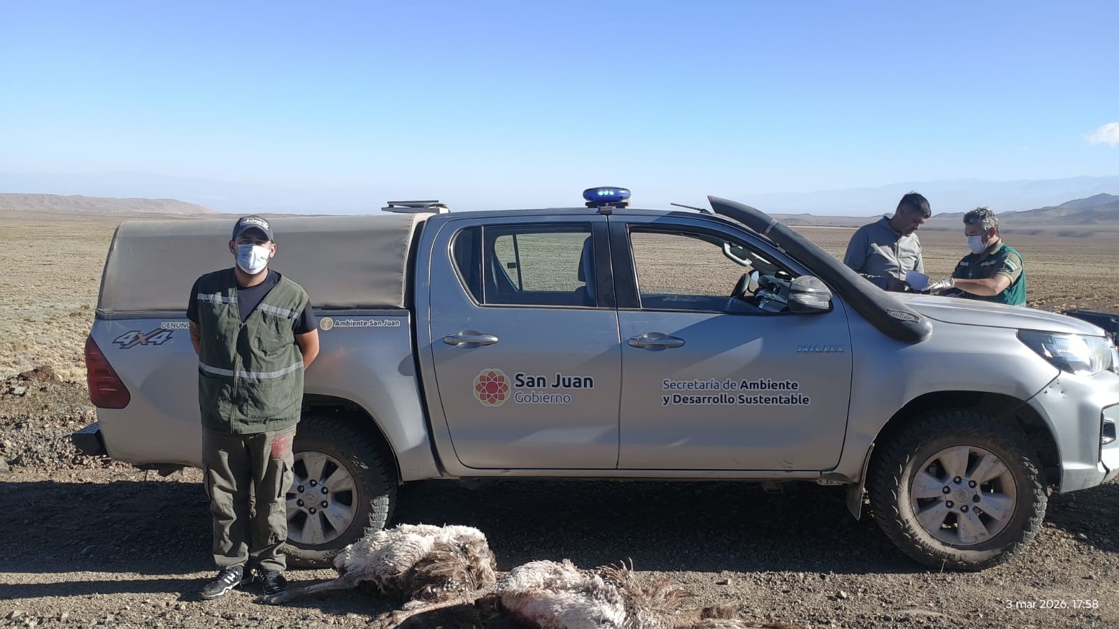 Ambiente dio otro golpe a la caza furtiva en Iglesia y secuestró suris cordilleranos y labró un acta de infracción