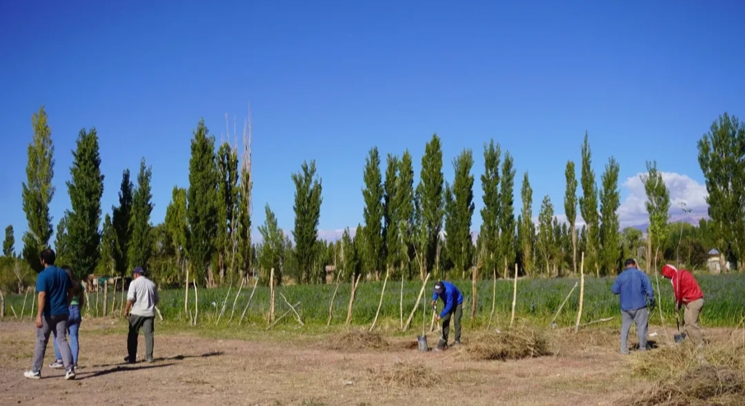 Calingasta dio inicio al Plan de Forestación en Barreal